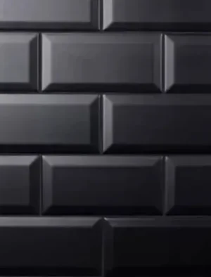 ceramica 20X10cm NEGRO MATE tipo espanol 1.4m2